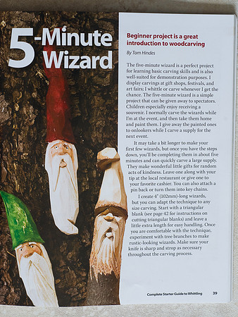 Wizard-1