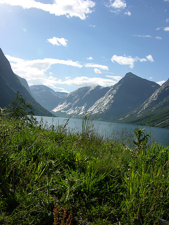 DSCN3667