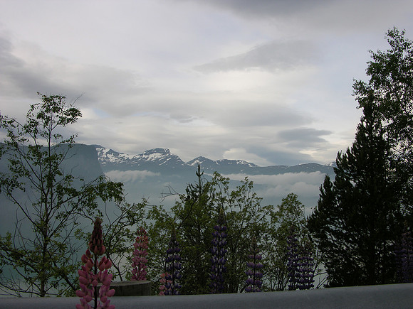 DSCN3640