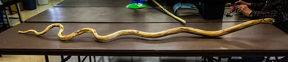 Roxannas snake2