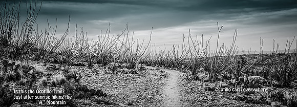 Settling_2021-102