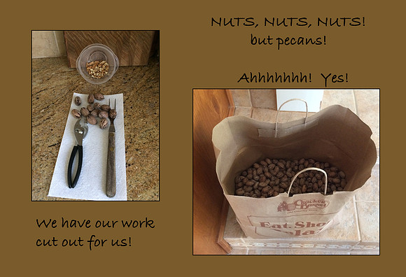 Nuts