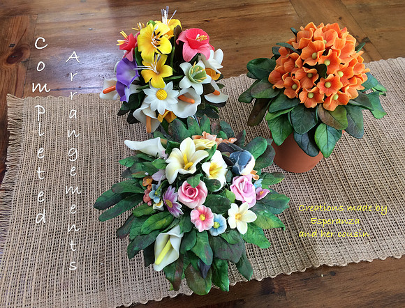 Completed Arrangements