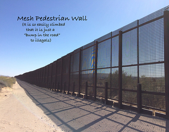 Mesh Pedestrian Wall2