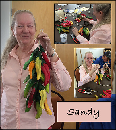 Sandy3