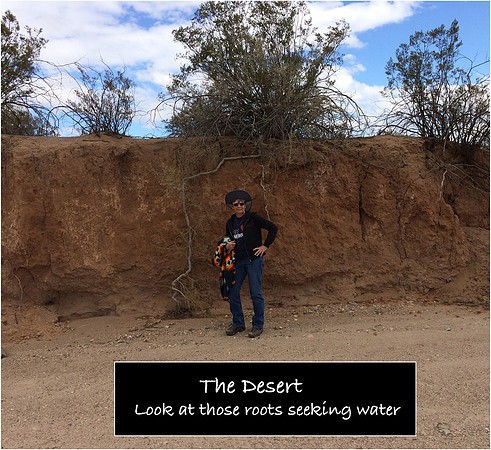 Desert_Roots