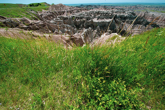 Badlands-102