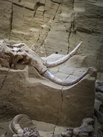 Mammoth-102