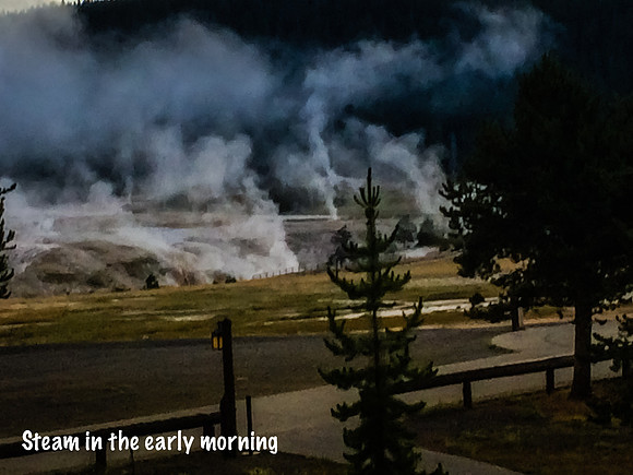 Yellowstone-109