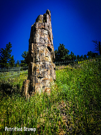 Yellowstone-102