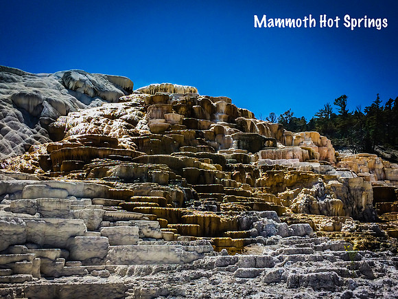 Yellowstone-103